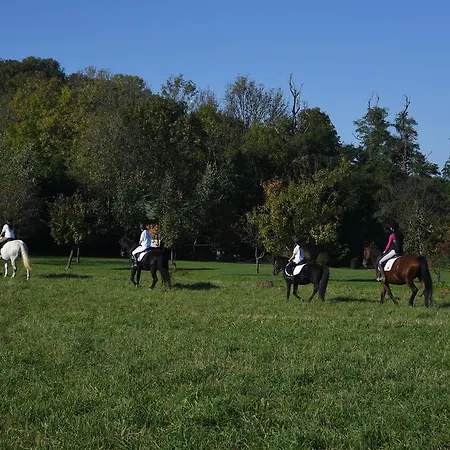 Tunder Farm Tundermajor 3*